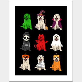 Golden Retrievers Halloween Funny Golden Retrievers Costume Posters and Art